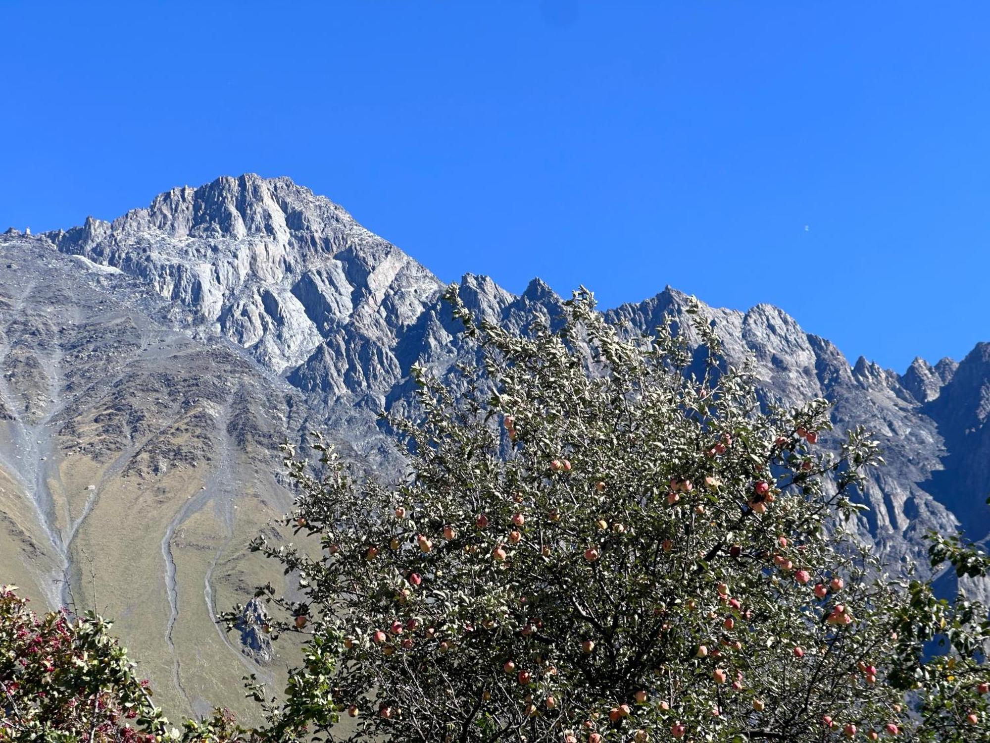 Hotel Mountime Kazbegi Екстериор снимка